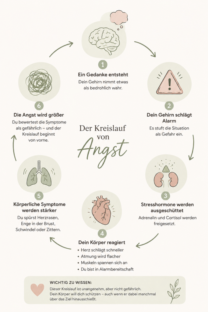 Illustration Gedanke
↓
Gefahr
↓
Adrenalin
↓
Herz schlägt schneller
↓
Atmung verändert sich
↓
Angst wird größer
herzrasen bei angst
